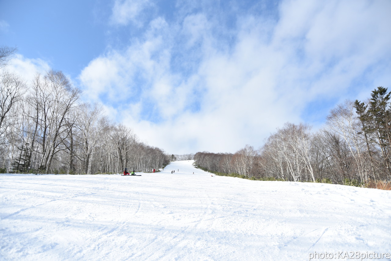 十勝サホロリゾート　サホロゴンドラ営業開始。山頂から山麓まで、全長約3,300ｍのロング滑走が可能です！